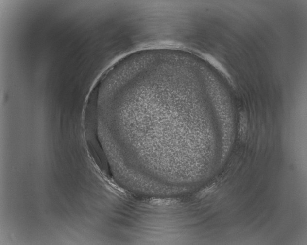 X0000071901364200608041332