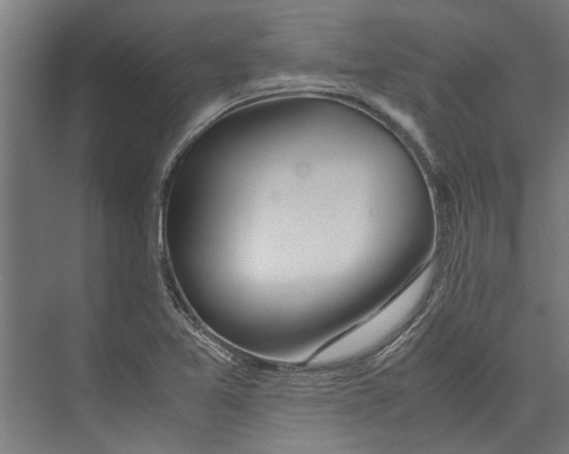 X0000071901365200608041332