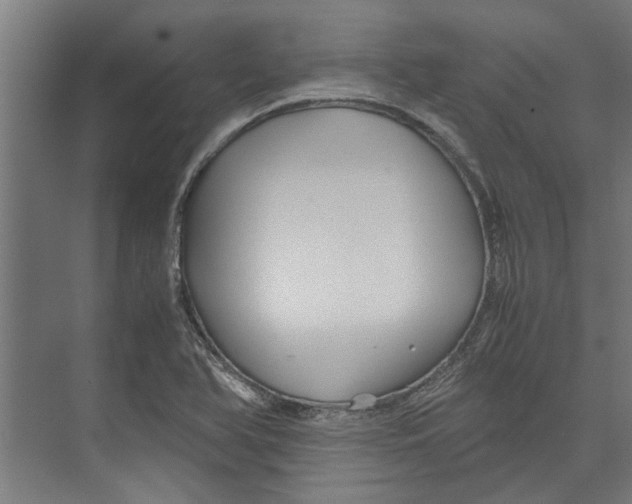 X0000071901366200608041332