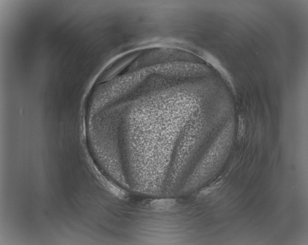 X0000071901368200608041332