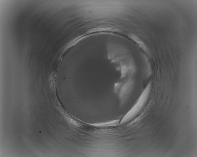 X0000071901369200608041332