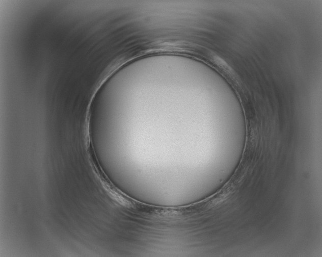 X0000071901370200608041332