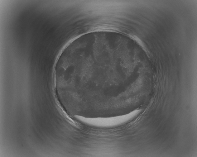 X0000071901371200608041332