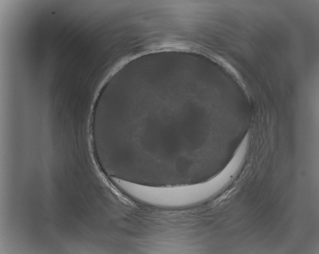 X0000071901373200608041332