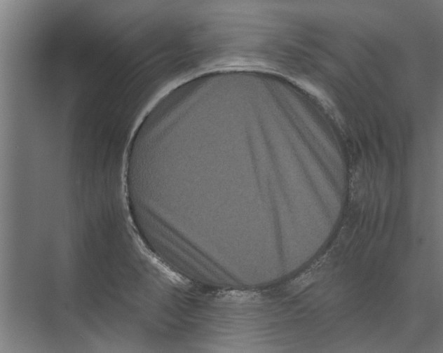 X0000071901374200608041332