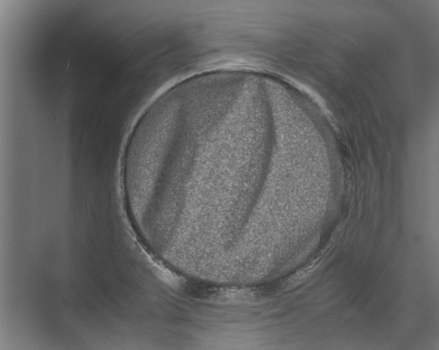 X0000071901375200608041332