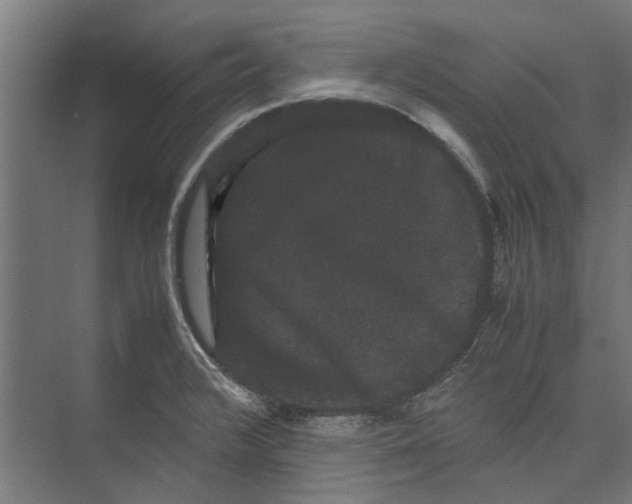 X0000071901376200608041332