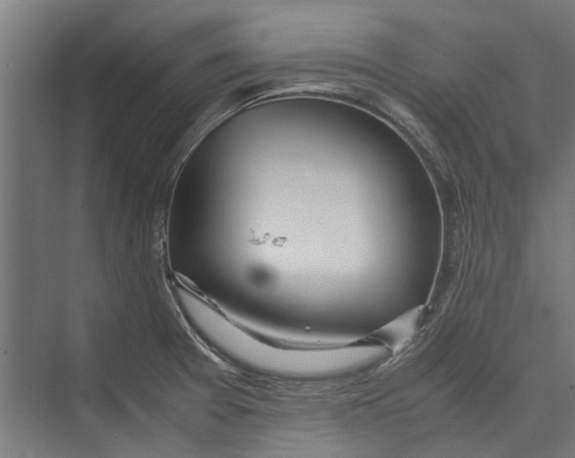 X0000071901377200608041332