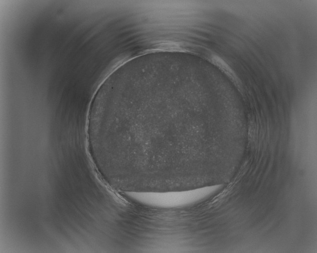 X0000071901378200608041332