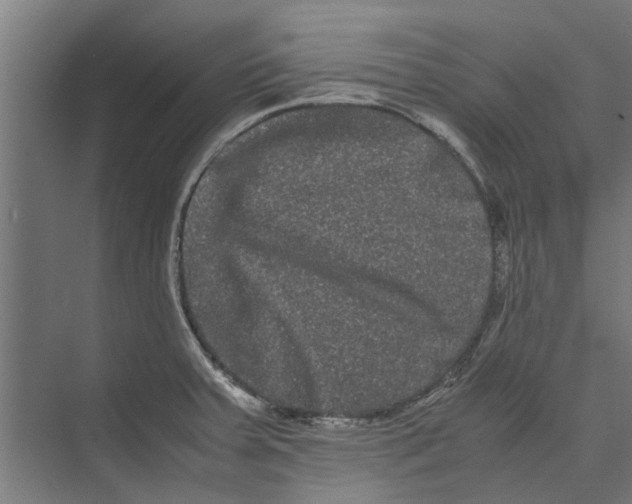 X0000071901379200608041332