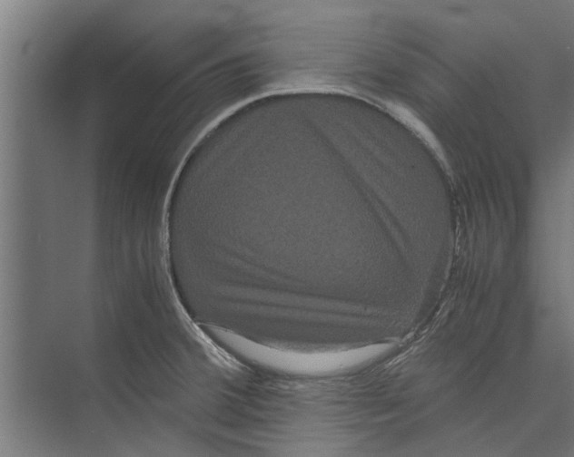 X0000071901380200608041332