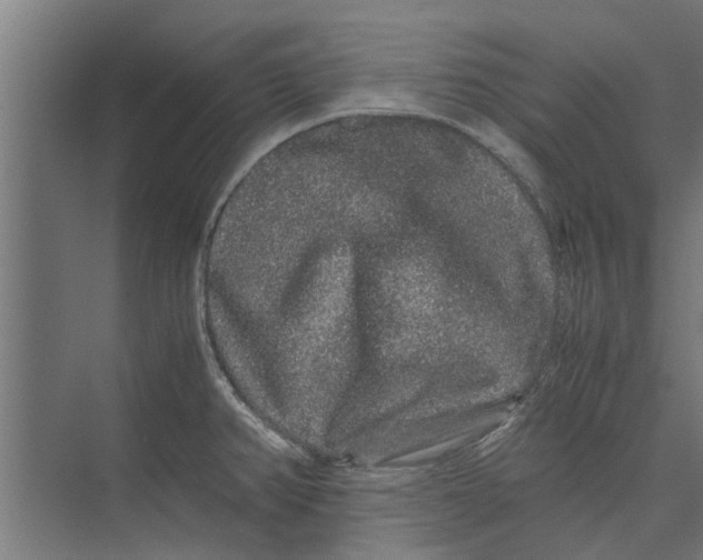 X0000071901382200608041331