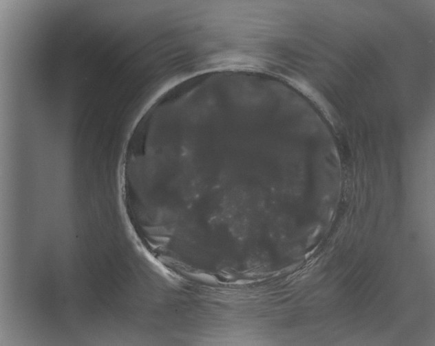 X0000071901383200608041331