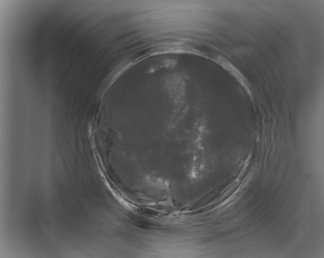 X0000071901385200608041331