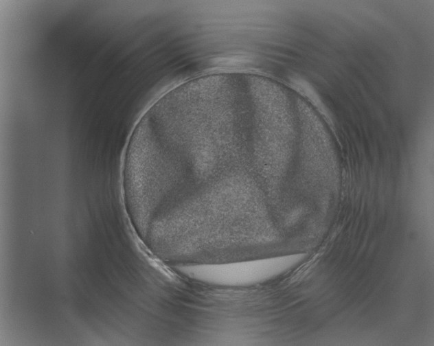 X0000071901386200608041331