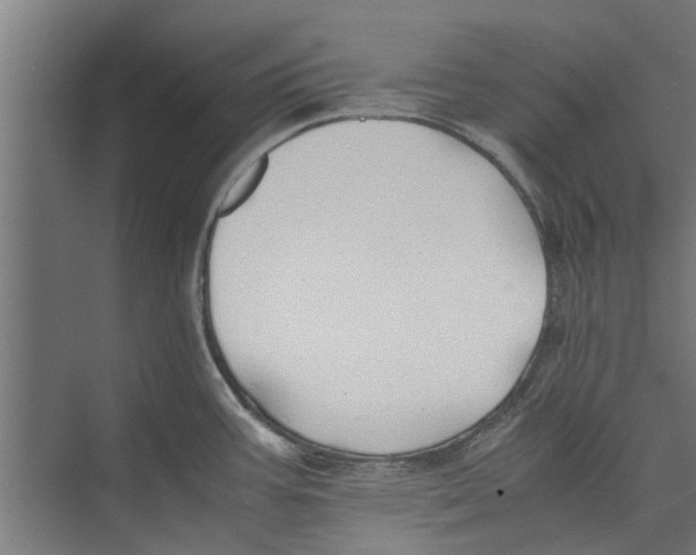 X0000071901387200608041331