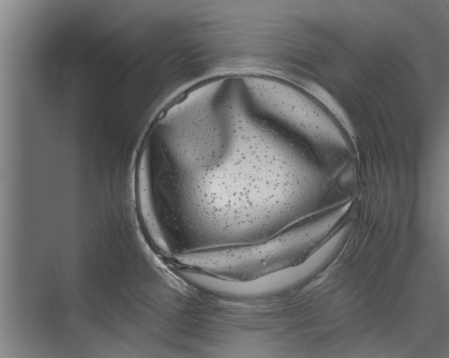 X0000071901388200608041331