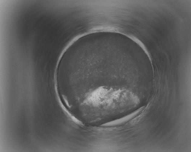 X0000071901389200608041331