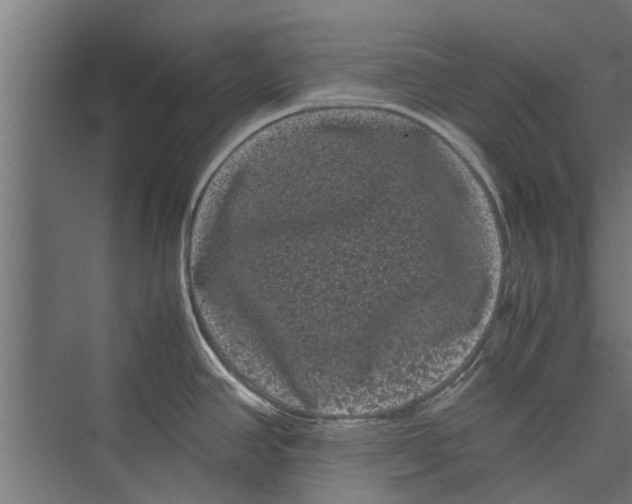 X0000071901390200608041331