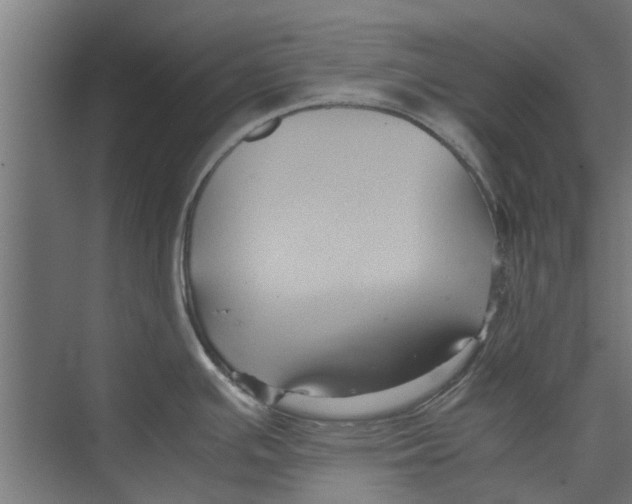 X0000071901391200608041331