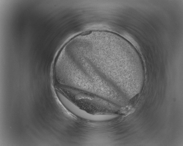 X0000071901392200608041331