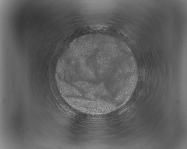 X0000071901393200608041330