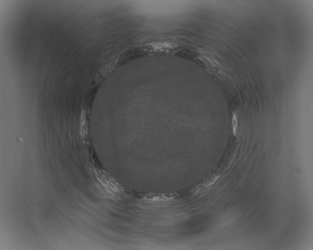 X0000071901395200608041331