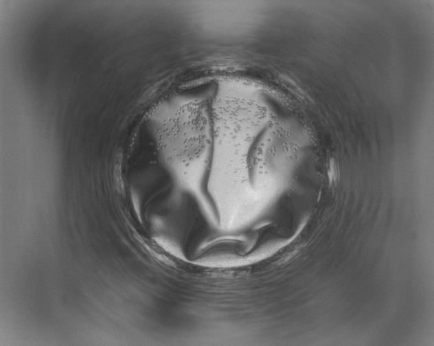 X0000071901396200608041331