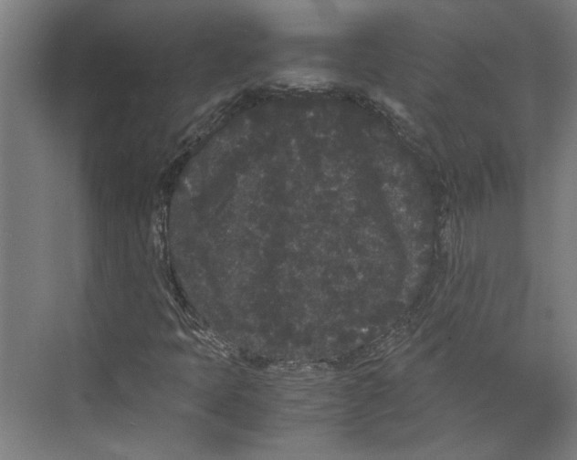 X0000071901397200608041331