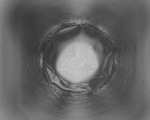 X0000071901398200608041331