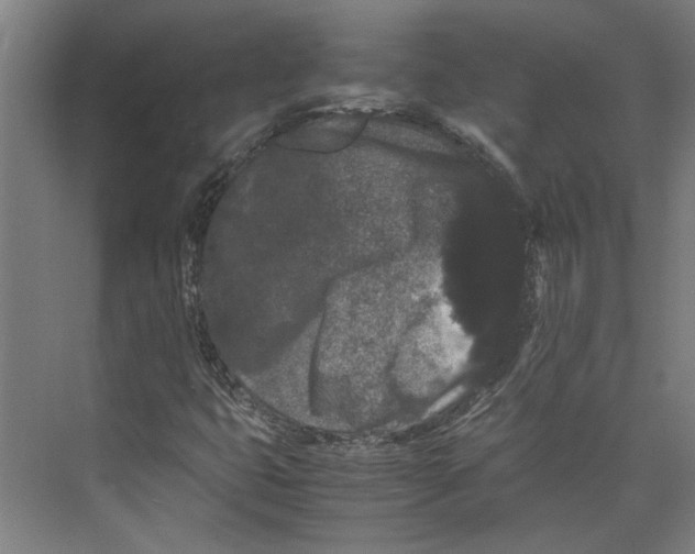 X0000071901399200608041331