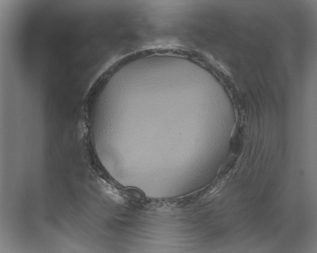 X0000071901400200608041331