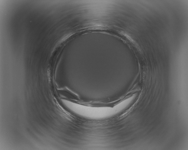 X0000071901402200608041331