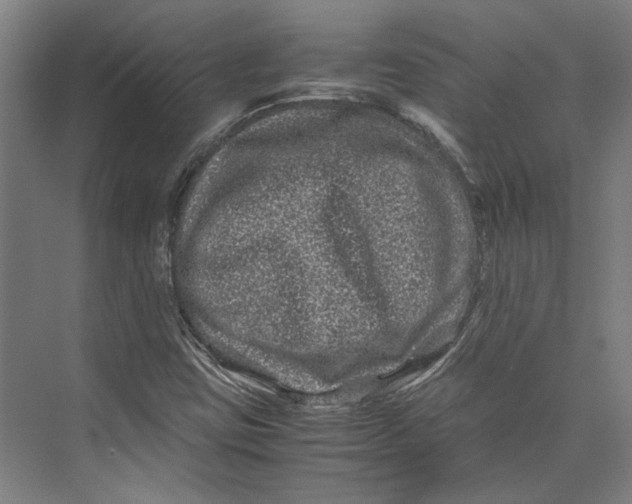 X0000071901403200608041331