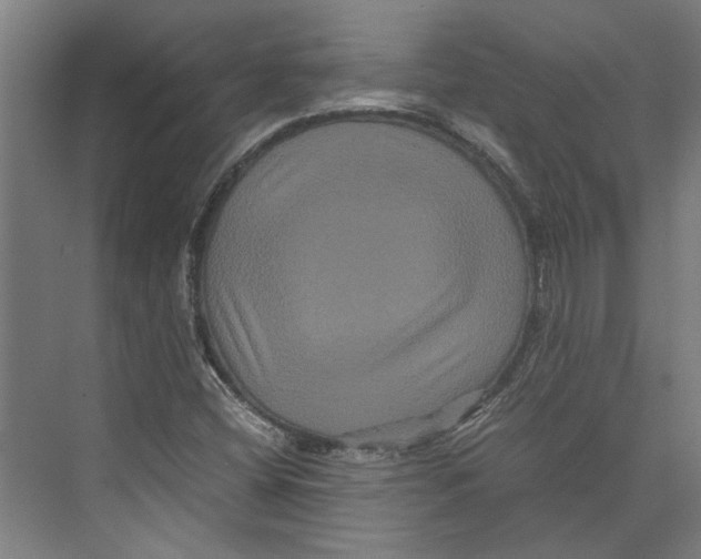 X0000071901404200608041331