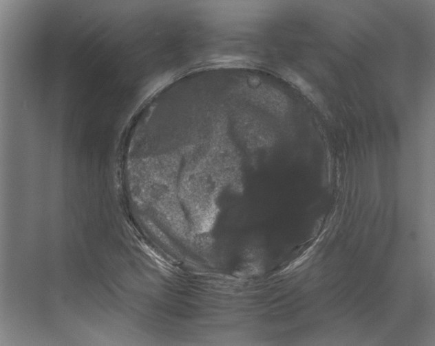 X0000071901405200608041331