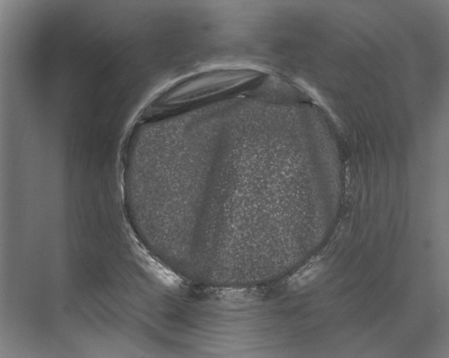 X0000071901408200608041331