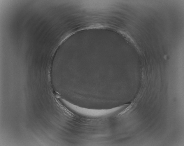 X0000071901409200608041331