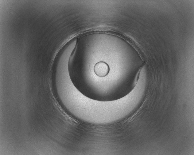 X0000071901410200608041331