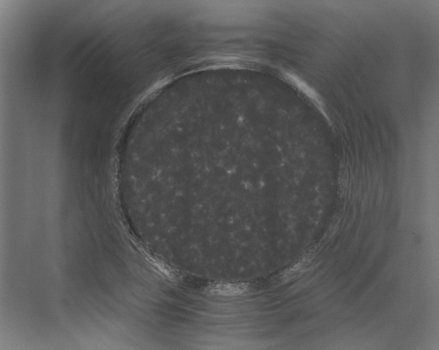 X0000071901411200608041331