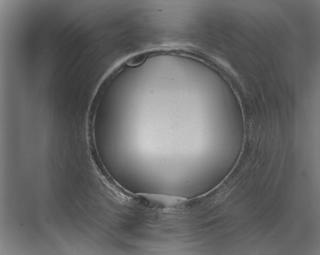 X0000071901412200608041331