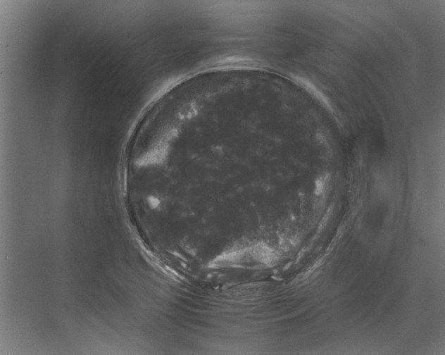 X0000071901413200608041331