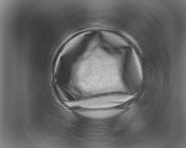 X0000071901415200608041331