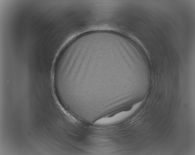 X0000071901416200608041331