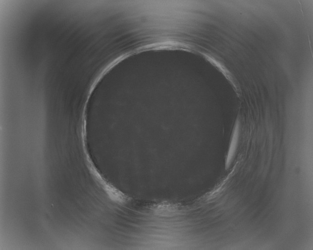 X0000071901418200608041331