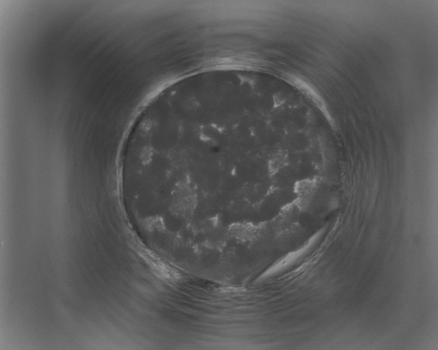 X0000071901419200608041331