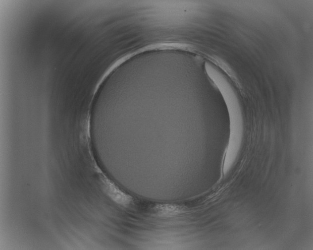 X0000071901420200608041331