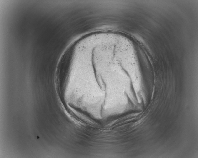 X0000071901421200608041331