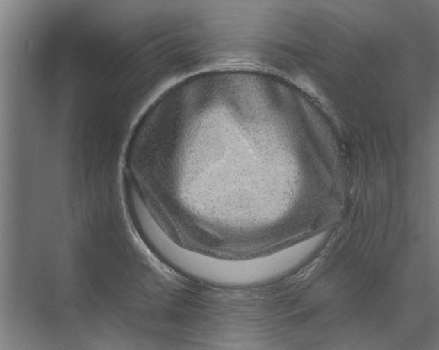 X0000071901422200608041331