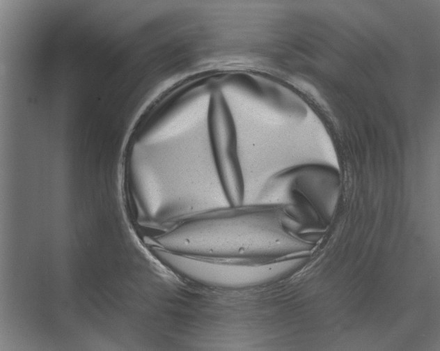 X0000071901424200608041331